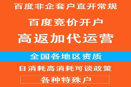 充值返点案例分析：实战操作技巧分享